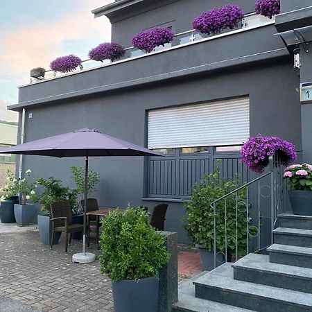 Guenstiges Gruenes Ferienzimmer Mit Separater Moderner Dusche Lörrach Exterior foto