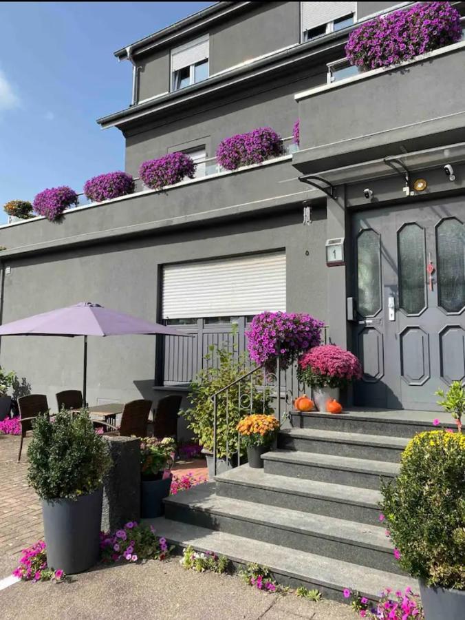 Guenstiges Gruenes Ferienzimmer Mit Separater Moderner Dusche Lörrach Exterior foto