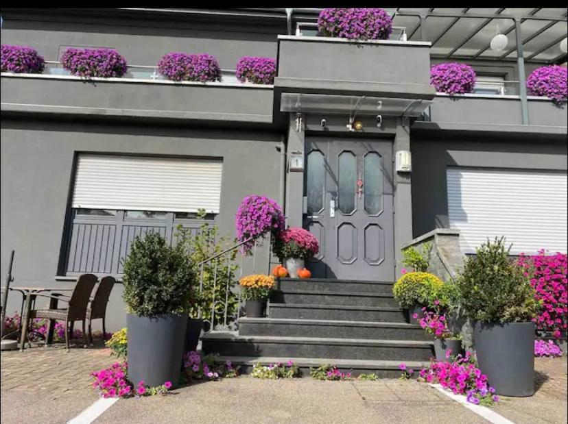 Guenstiges Gruenes Ferienzimmer Mit Separater Moderner Dusche Lörrach Exterior foto